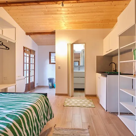 Апартаменты Maisonnette Grenobloise Cosy Эбенс