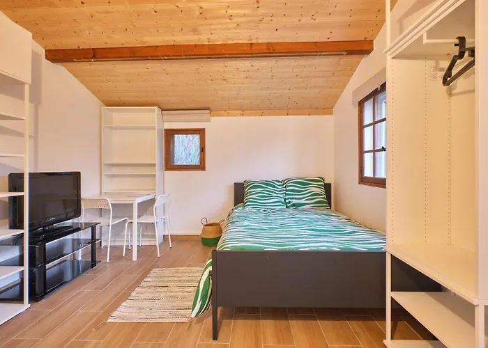 Апартаменты Maisonnette Grenobloise Cosy