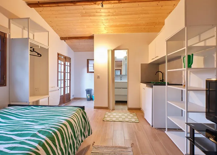 Апартаменты Maisonnette Grenobloise Cosy Эбенс