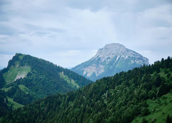 Maisonnette Grenobloise Cosy